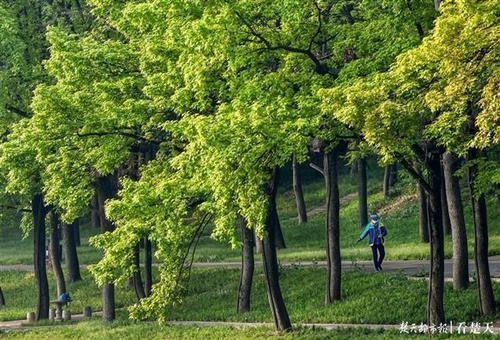 春风沐浴什么意思