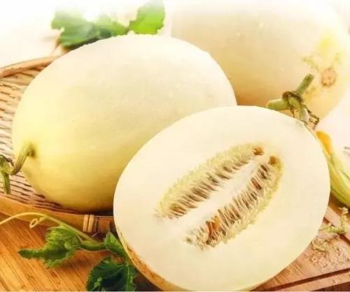 伊丽莎白瓜常温能放多久