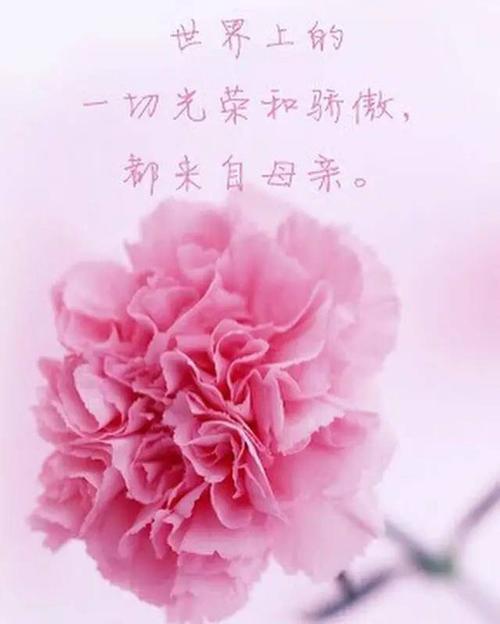 待你如宝下一句是什么
