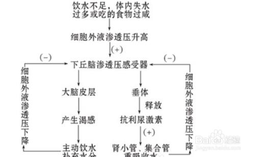 挂盐水太慢怎么调快一点
