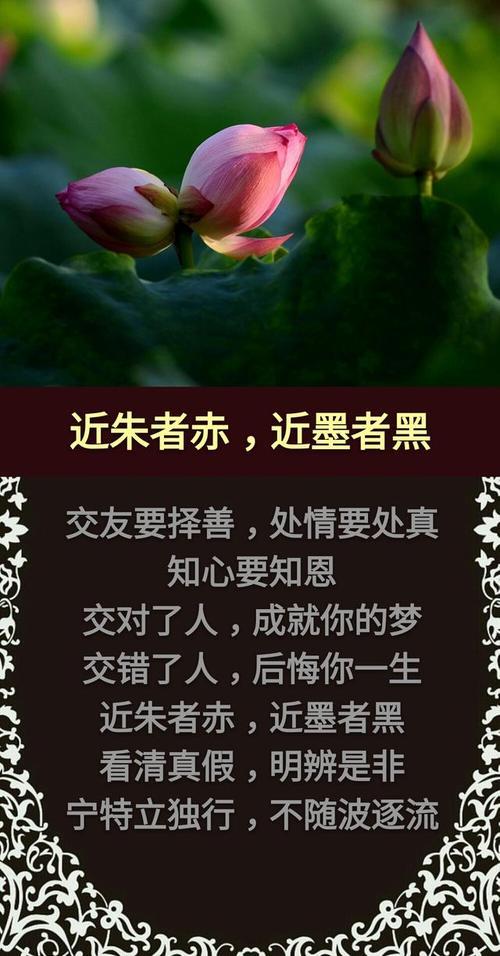 帮是情不帮是什么