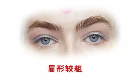 眉毛间距窄的人的性格