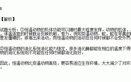 恒温动物与冷血动物的区别