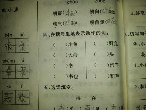 abb的小鸟填合适的词