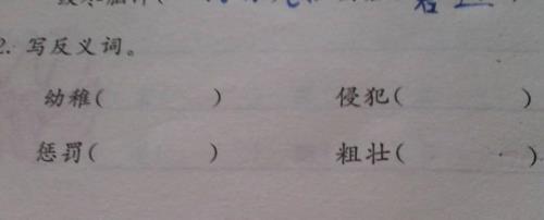 祝福的反义词是什么