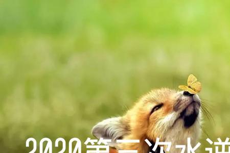 11月28号是什么星座