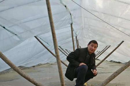 小棚养虾用pe膜还是po膜好