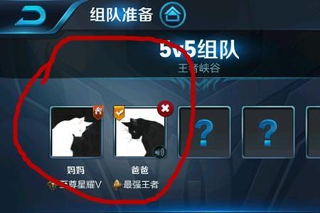 王者荣耀个性资源是什么