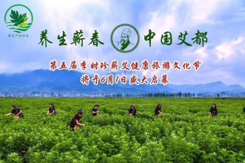 艾香悠悠溢端午的主要内容