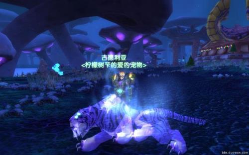 魔兽世界正式服如何抓灵魂兽