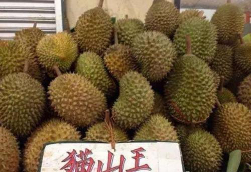 马拉奎亚是什么水果