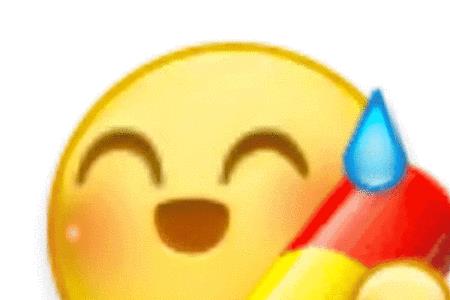 睿芽线上考试会不会窥屏
