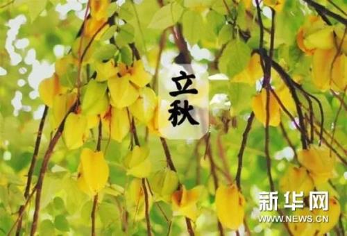 阴历六月立秋都有哪年