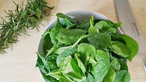 菠菜是什么术语