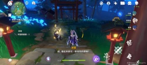 原神跳舞的小浣熊有什么用