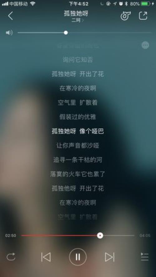 寂寞的恋人哪年的歌