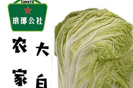 山东四号大白菜好吃吗