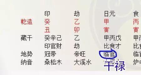 什么是坐库通根