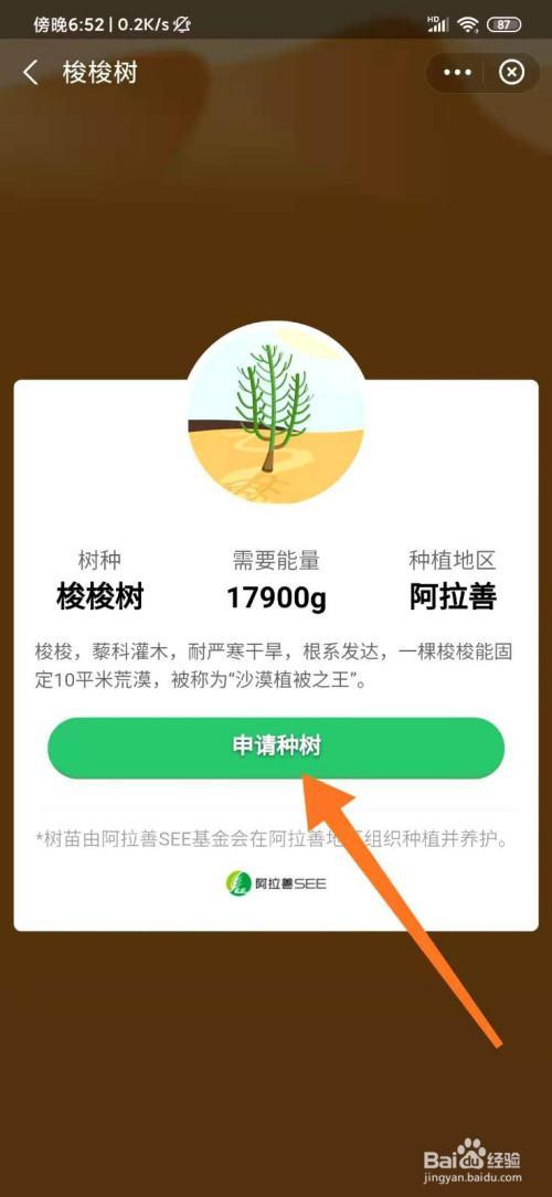支付宝怎么种树