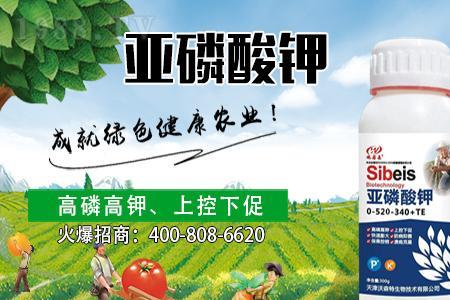 亚磷酸钾控旺用法