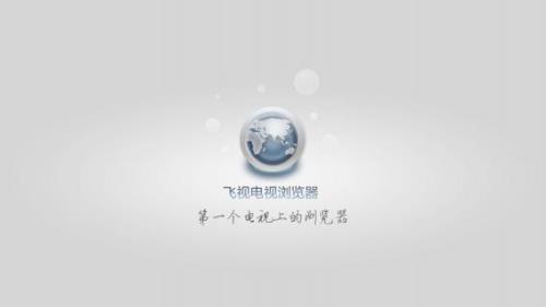 飞视浏览器tv版不能放大