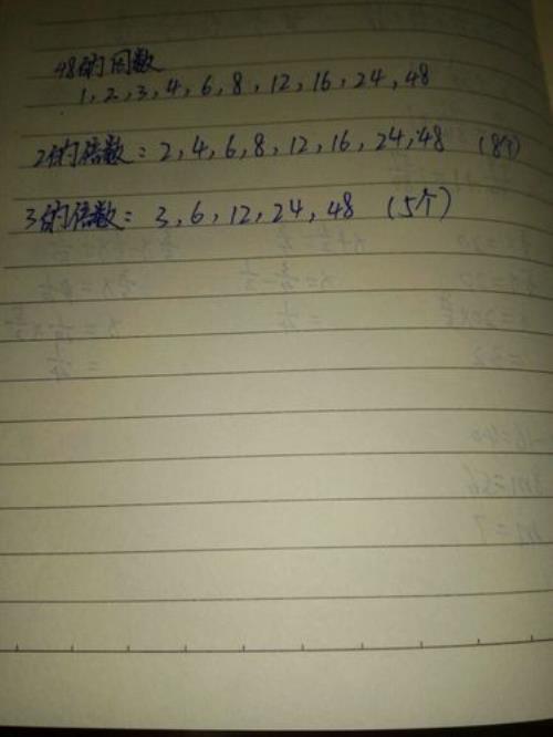 44的倍数有哪些数