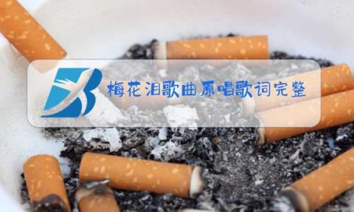 梅花泪歌词赏析