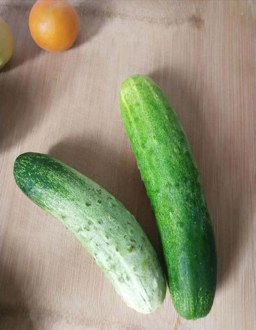 粗黄瓜别名