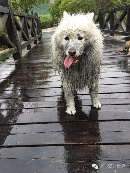 为什么下雨淋不死