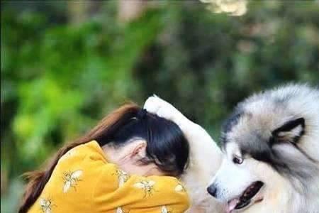 主仁的意思