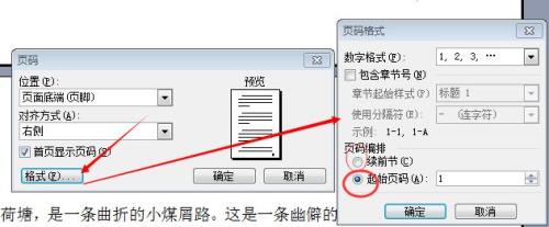 word页码设置成几分之几样式
