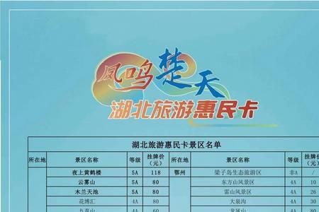 思施旅游连卡怎么办