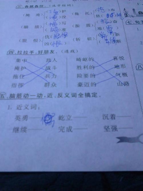 照看近义词是什么