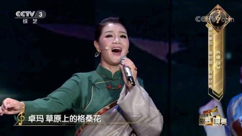 天边的骆驼降央卓玛的歌原唱