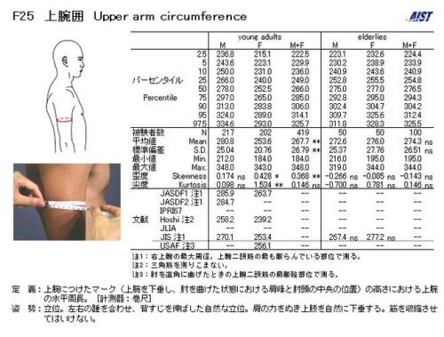 小臂26厘米算不算粗