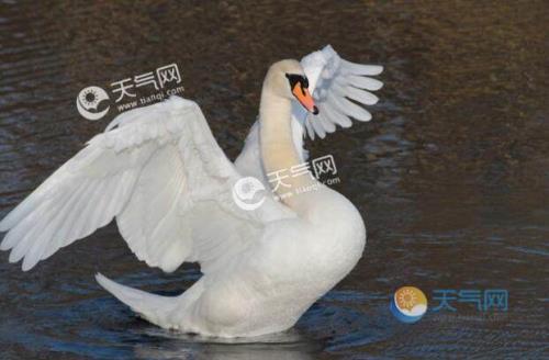 北方回潮一般是几月份
