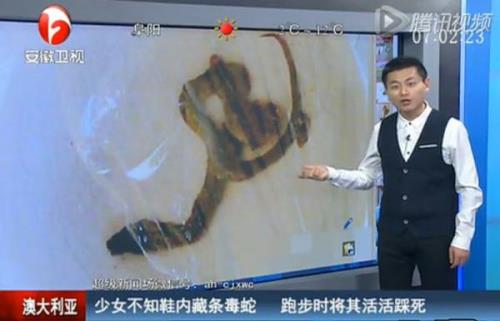 为什么鞋子掉了人就要死