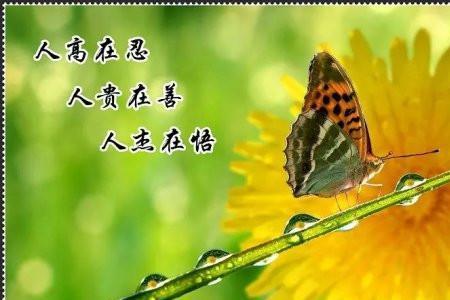 载善的含义