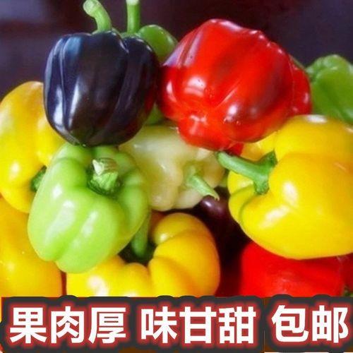 500克甜椒有几个