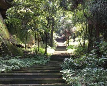 山幽路僻的意思