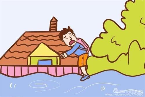 星有野抗洪动画怎么不见了