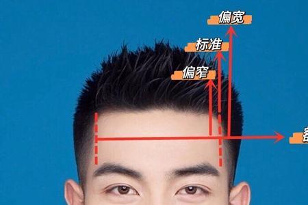 额头什么高度才算合适
