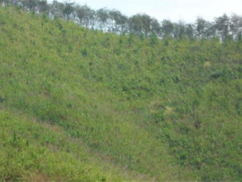 个人山林地个人使用权是多少年