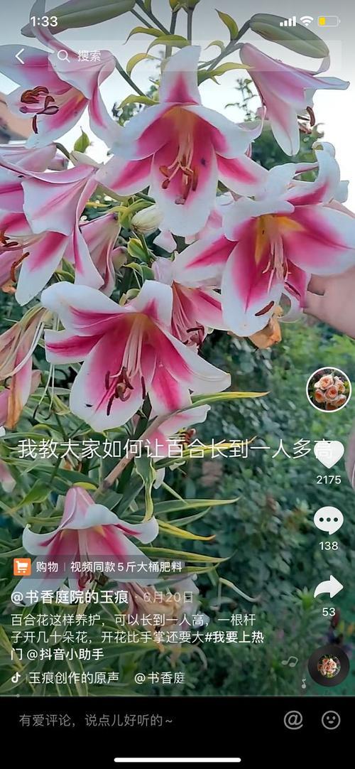 抖音上给女人送花什么意思