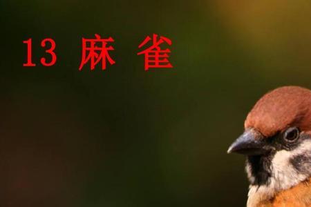 麻雀四年级上册组词
