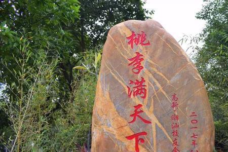 可以祝母校桃李满天下吗