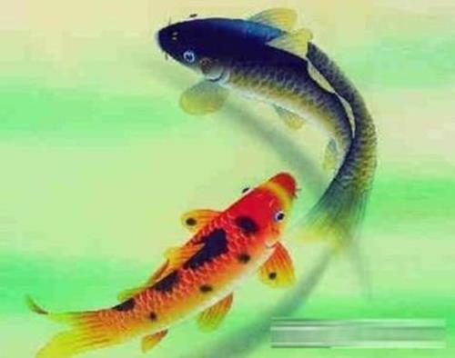 养鱼生财的诗句