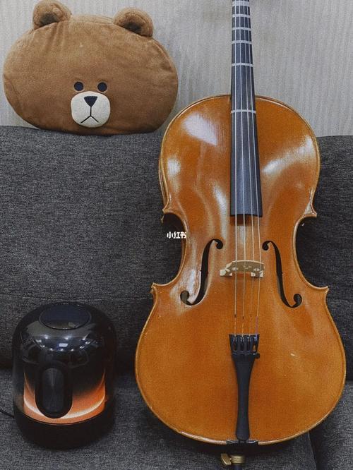 家里练大提琴怎样隔音效果最好