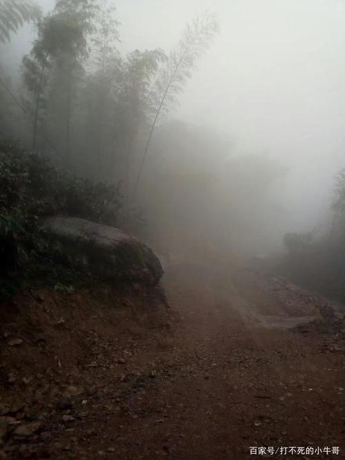 山上起雾预示着什么