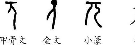 π是一个字吗